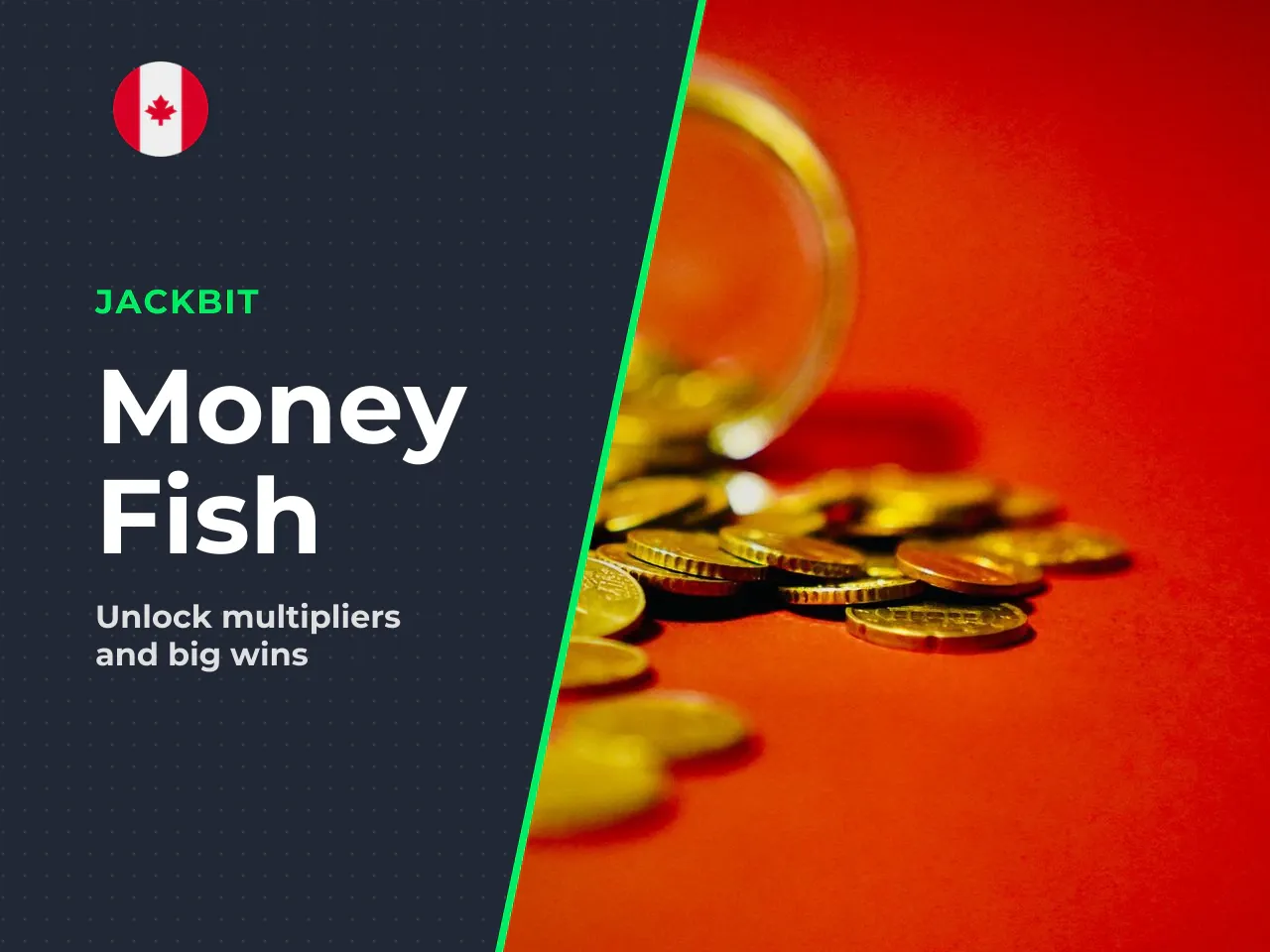 Money Fish Cash Values and Prize