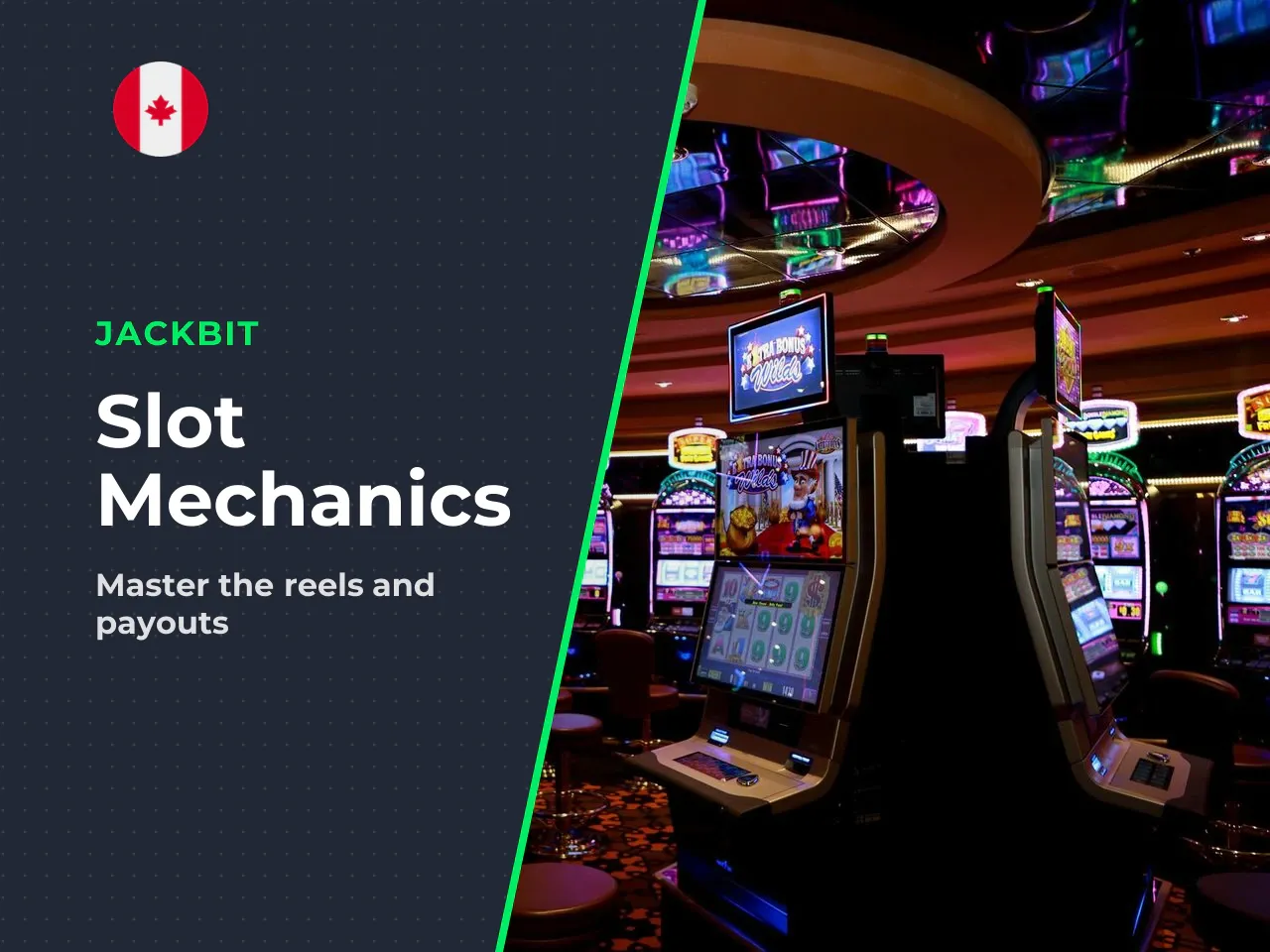 Bets, Paylines and Spinning the Reels