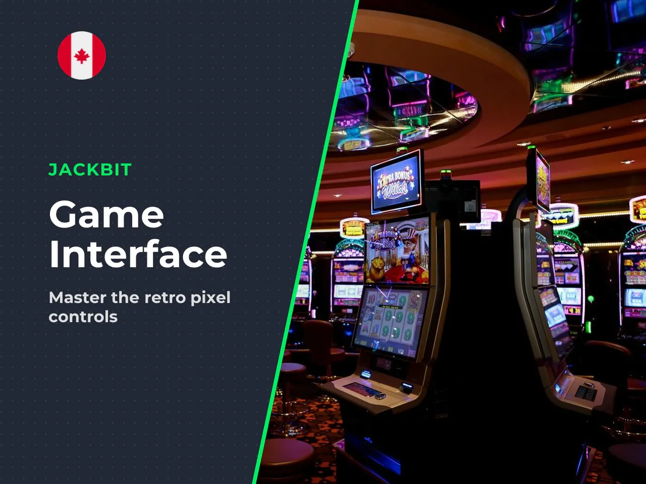 Interface Walkthrough Where Every Button Lives