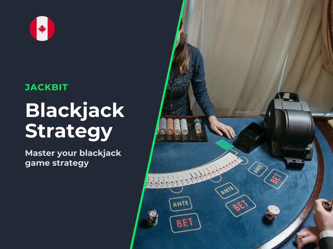 Choosing between blackjack demo, live casino